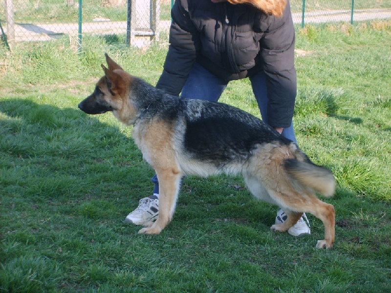 Brendy de la Huche Normande